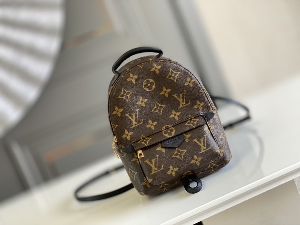 LV Palm Springs Mini Monogram