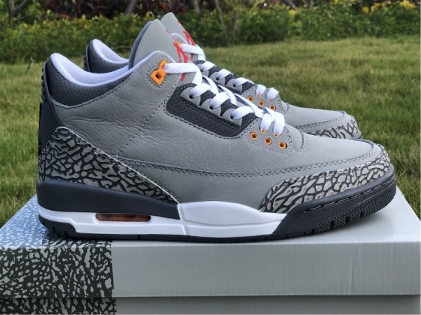 Jordan 3 Retro Cool Grey (2021)