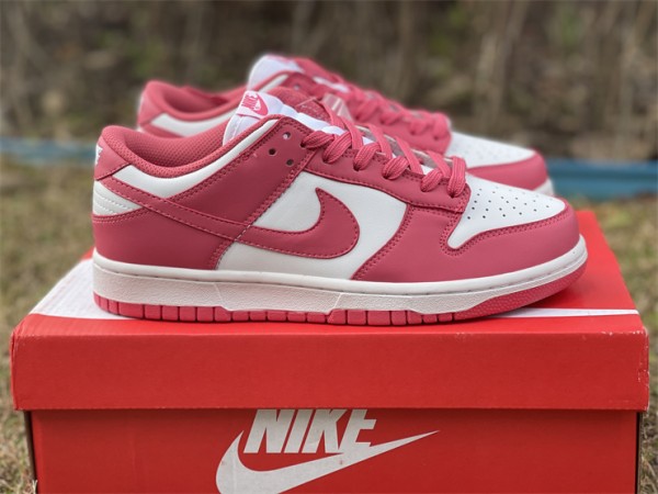 Nike Dunk Low Archeo Pink (W) DD1503-111