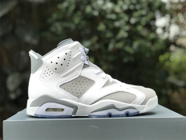 Air Jordan 6 “Cool Grey” CT8529-100