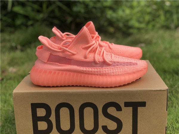 Adidas Yeezy Boost 350 V2 "Pink GID" EH5361