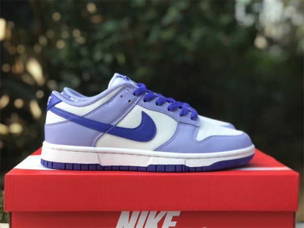  Nike SB Dunk Low “Blueberry”