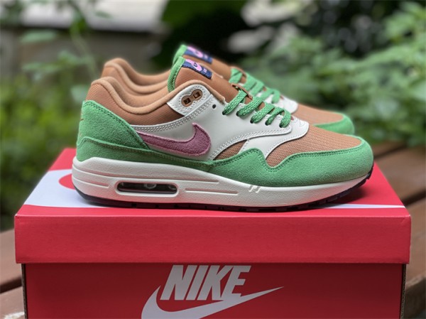 Nike Air Max 1 “Treeline”