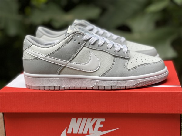 Nike Dunk Low Two Tone Grey DJ6188-001