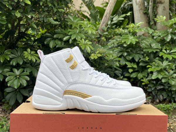  Air Jordan 12 “Phantom FD9101-007