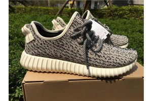 Adidas Yeezy Boost 350 "Turtle Dove" AQ4832
