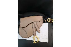 Dior Saddle Calfskin Belt Bag in Pink (size 20x17x2 cm)