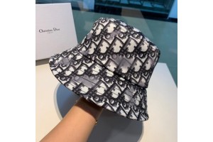 Dior Hats (CAP-DR-A05)