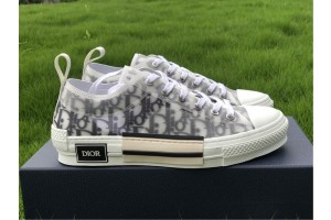 Dior B23 Low Top Logo Oblique 