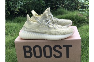 Adidas Yeezy Boost 350 V2 Antlia Reflective FV3255