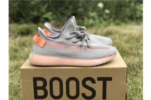 Adidas Yeezy Boost 350 V2 True Form EG7492