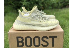 Adidas Yeezy Boost 350 V2 Antlia Non-Reflective FV3250