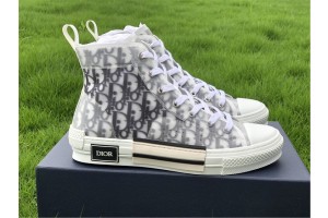 Dior B23 High Top Logo Oblique 