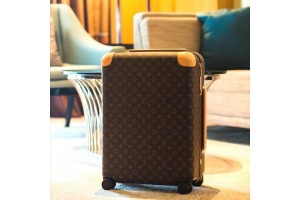 Louis vuitton Luggages