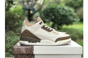 Air Jordan 3 “Palomino”